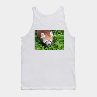 Red Panda close up of face Tank Top